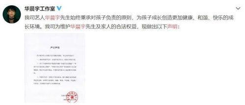 娱乐圈吃瓜元素表成毅,成毅在娱乐圈的瓜田漫步