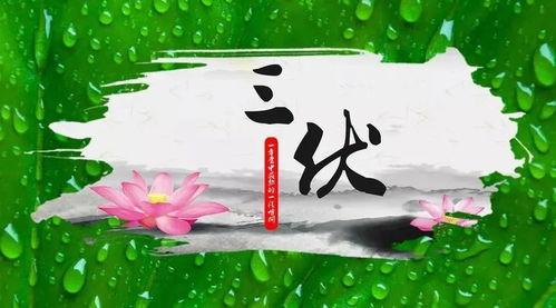 三伏天图片,炎炎夏日里的避暑攻略与生活点滴
