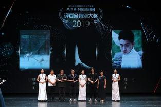 企业舞蹈视频,揭秘公司舞蹈视频背后的故事