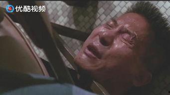 怒虎狂龙国语,热血江湖，英雄逐梦