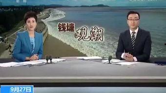 浙视频,探索浙江魅力，尽享视听盛宴