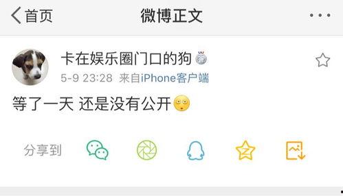 劲爆吃瓜爆料小说,揭秘小说中的惊天秘密与幕后真相