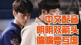 国语配音韩剧论坛,探寻韩剧配音的魅力与魅力背后的故事