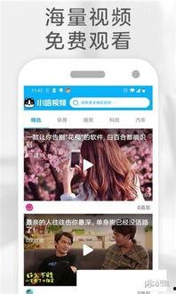 小视频在线看,在线观看，轻松畅享精彩瞬间