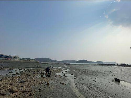 韩国海边,韩国海岸线的魅力与风情