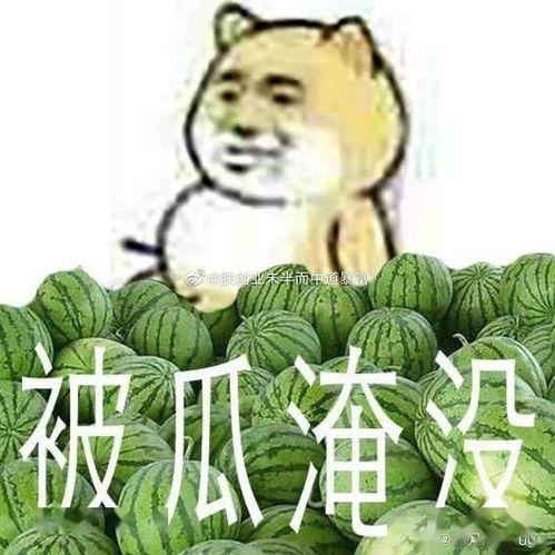 黑料吃瓜爆料网红精品一区,黑料吃瓜背后的真相与内幕