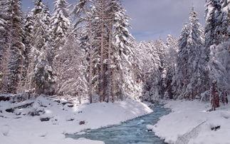 雪景图片大全,雪景图片大全中的冬日童话世界