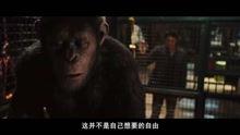 电影《人类》在线观看,探索人性与科技的边界，一场跨越时空的生存之旅