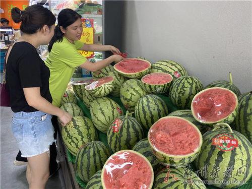 宁夏麒麟瓜今日行情,品质优良，价格稳中有升”