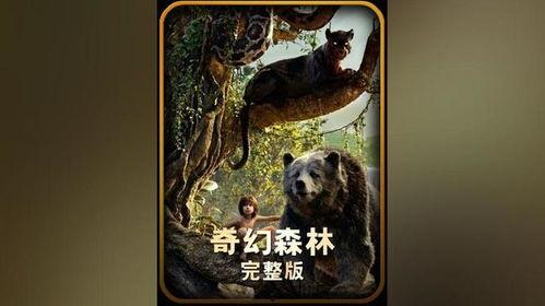 奇幻森林 电影国语版,魔幻冒险之旅