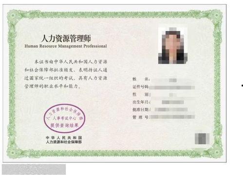 中级经济师证书图片,解锁职业发展新篇章