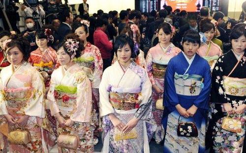 日本一家女种子,探寻神秘种子背后的传奇故事