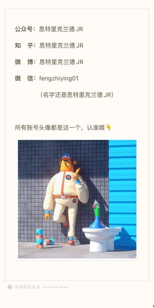 社会妹子图片大全,时尚潮流与个性魅力的完美融合