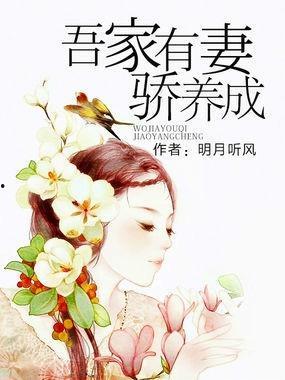 韩国吾有妻,吾有妻的浪漫旅程