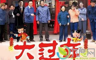 大过年在线观看,在线重温温馨团圆时光