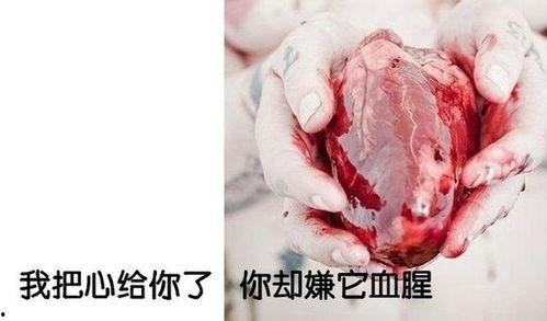 手拿心脏图片大全,探寻情感与生命的共鸣