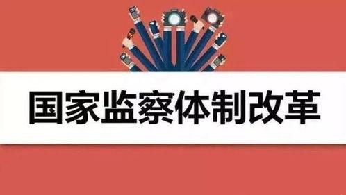 日本监察官,权力与责任的交织