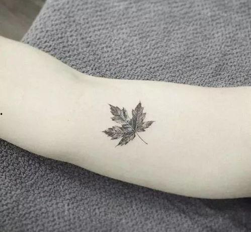 枫叶纹身图案大全图片,自然之美，个性之选