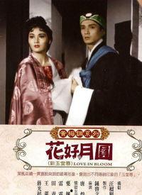 花好月圆电影国语版,团圆梦寻