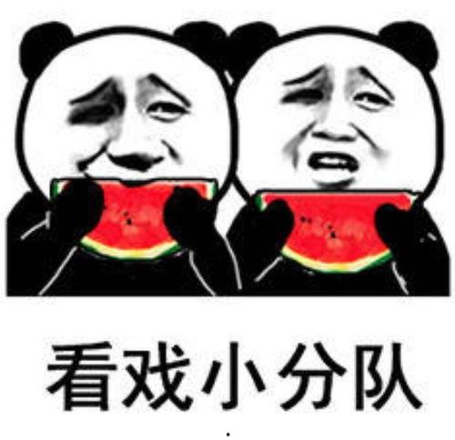 发红包娱乐吃瓜酱,娱乐吃瓜酱带你领略网络社交新风尚