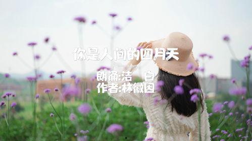你是人间的四月天朗诵视频,诗意盎然的朗诵之旅