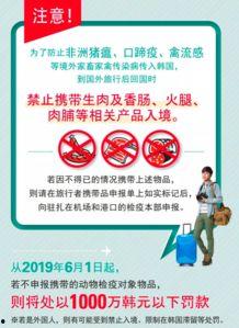 韩国 禁止入境,多国旅客受影响