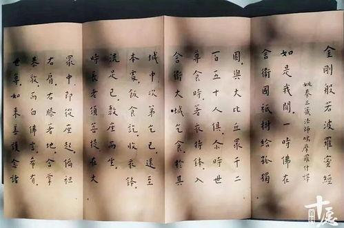 金刚经快诵15分钟视频,快速领悟佛学智慧