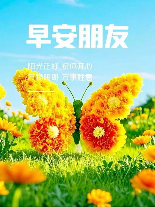 早上好的视频图片大全,精选早上好视频图片集锦
