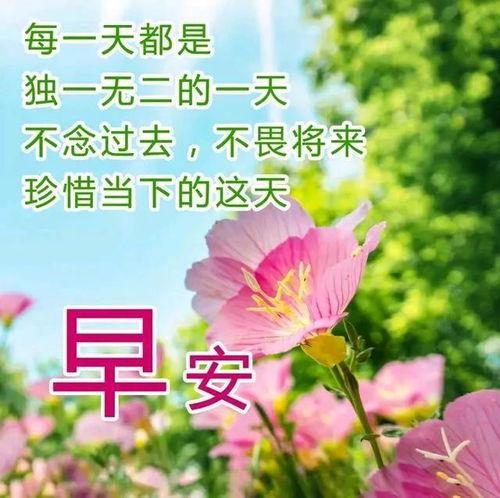 早上好的视频图片大全,精选早上好视频图片集锦
