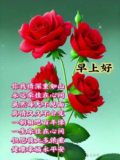 早上好的视频图片大全,精选早上好视频图片集锦