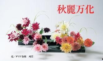 与花 日本,探寻日本的花文化与美学精髓