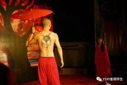 情景舞蹈视频,情景舞蹈视频魅力解析