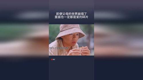 爱的碎片欧美在线观看,欧美浪漫剧情在线观影指南