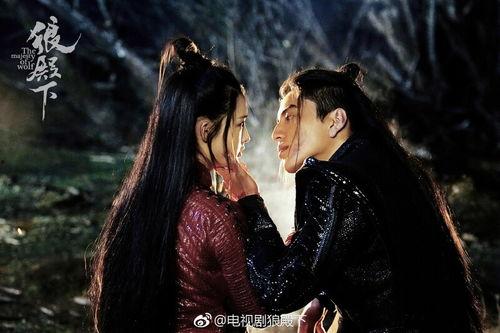 狼殿下电视剧在线观看,穿越时空的传奇爱情