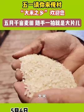 大米视频,探索短视频新潮流，引领潮流风向标