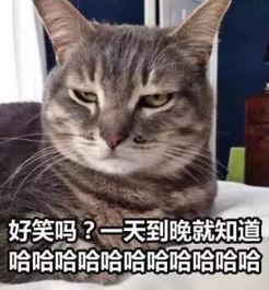 生无可恋的图片,探寻心灵深处的绝望与挣扎
