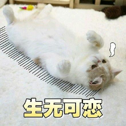生无可恋的图片,探寻心灵深处的绝望与挣扎