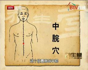 胃位置图片大全,全方位解析胃的位置与结构