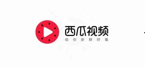 今日头条背包客老瓜,探寻未知世界的旅行故事