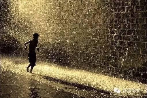 下雨没有雨伞图片大全,共赏雨中风景