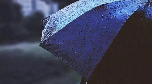 下雨没有雨伞图片大全,共赏雨中风景