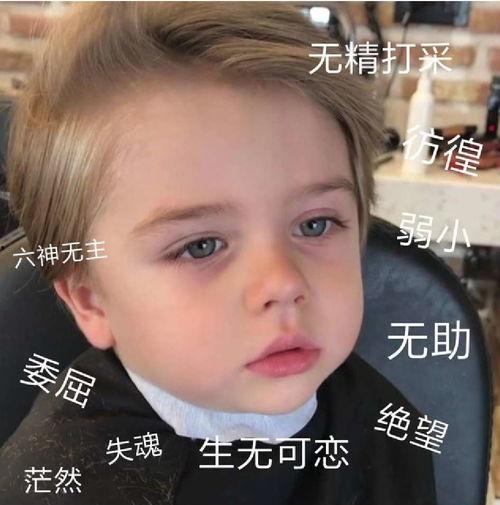 无助表情图片大全,瞬间捕捉心灵的脆弱与无奈