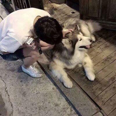 抱狗图片,与狗狗共度的温馨时光