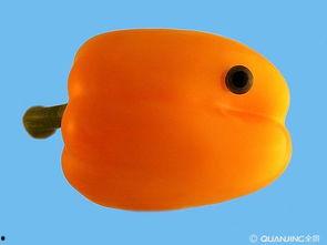 蔬果造型图片大全,创意无限的美味呈现