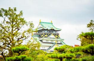 日本东坂,历史与现代交融的都市风情