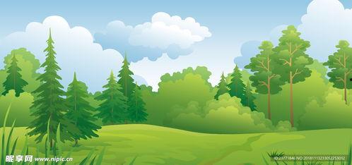 森林卡通图片大全大图