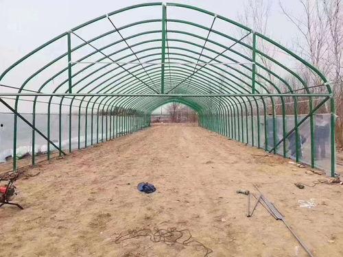 大棚猪圈图片大全,现代养殖设施一览