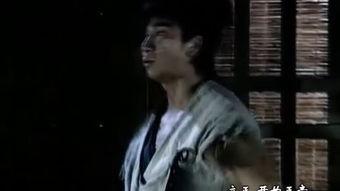 神捕国语版,智破奇案，正义之剑