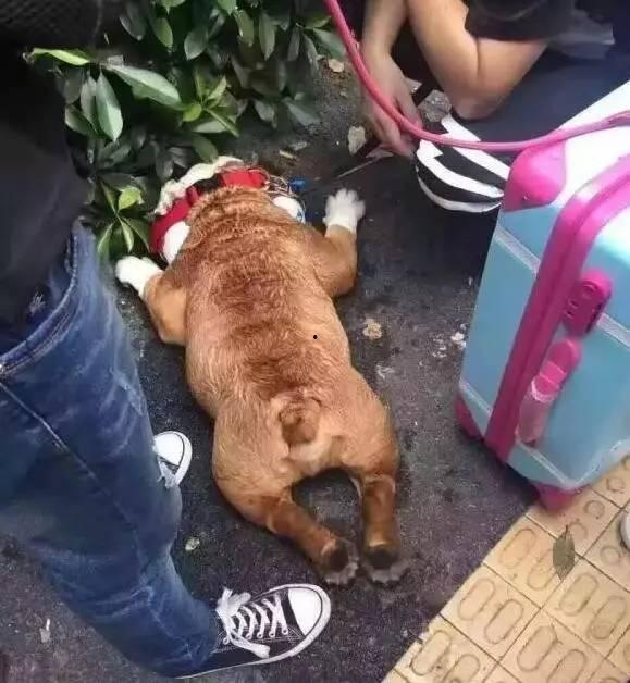 晒死了图片,晒出健康与美丽