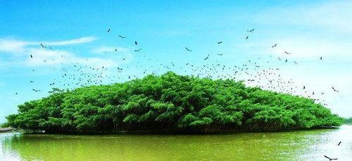 天堂网图片大全图片,视觉盛宴，捕捉美好瞬间